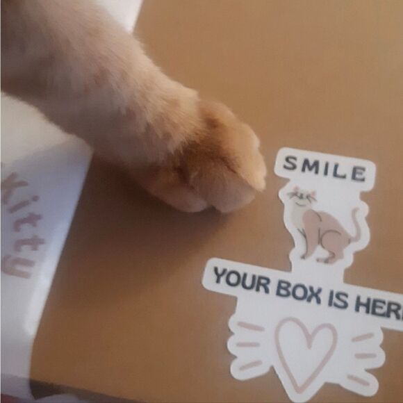 Mom Cat Themed Mystery Fun Box for Kitty Moms and Cats - Picture 3 of 10